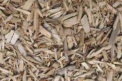 biomass boilers Packwood Gullet